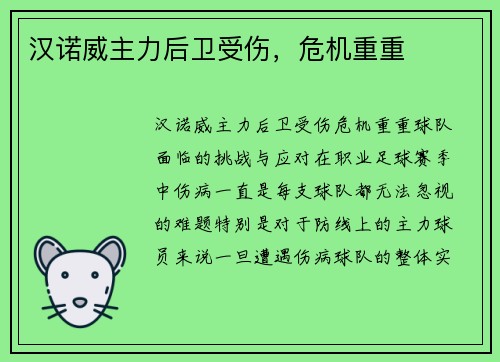 汉诺威主力后卫受伤，危机重重