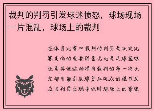 裁判的判罚引发球迷愤怒，球场现场一片混乱，球场上的裁判